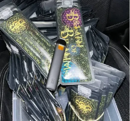 breath of brahma dmt 500mg vape