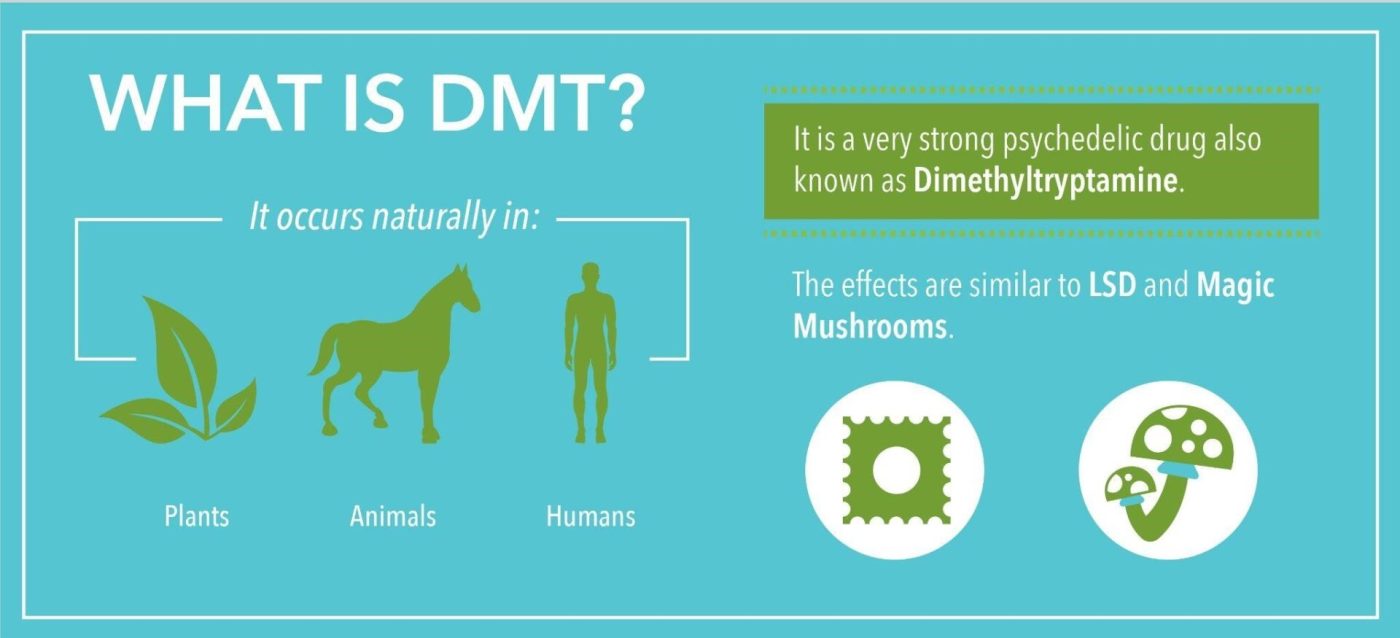 buy dmt vapes online