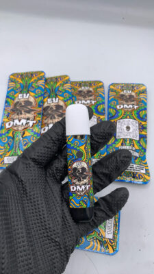 eu dmt v2 1g disposable